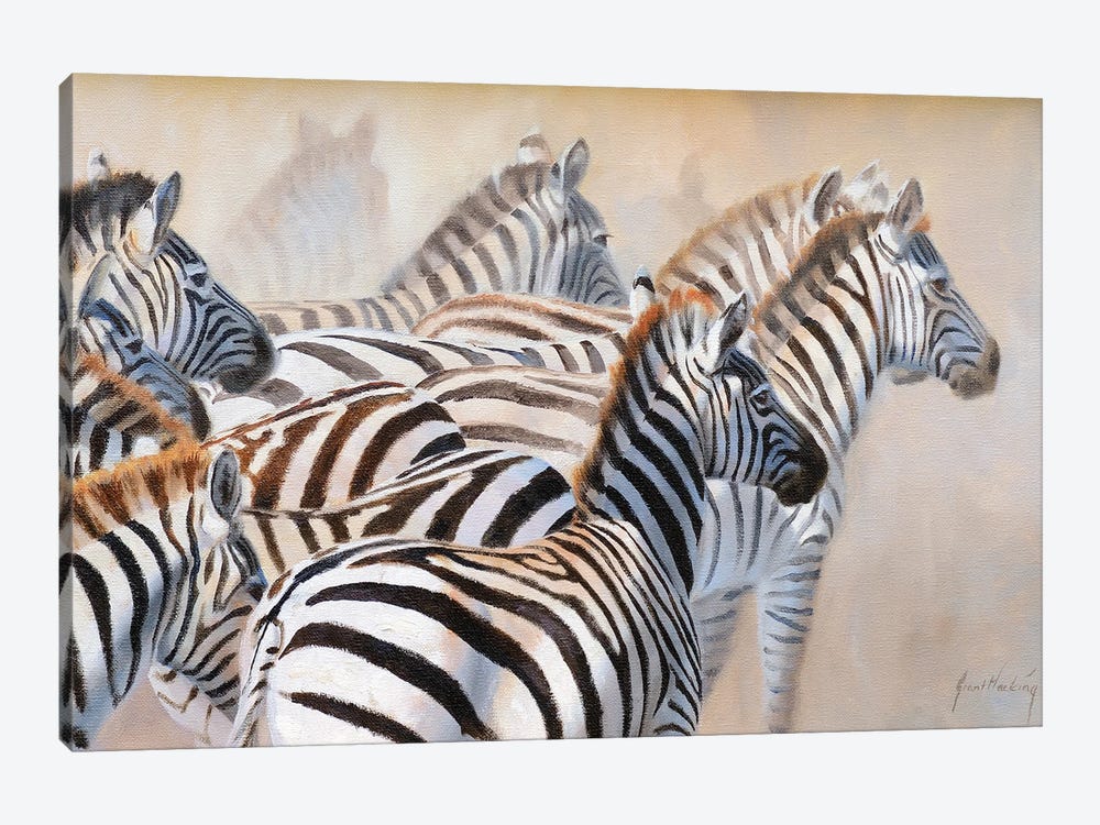 Zebra by Grant Hacking 1-piece Canvas Print