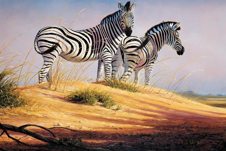 Zebras Of Namibia by Grant Hacking wall art