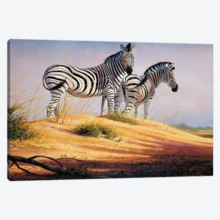 Zebras Of Namibia Canvas Print #GHC121} by Grant Hacking Canvas Art Print