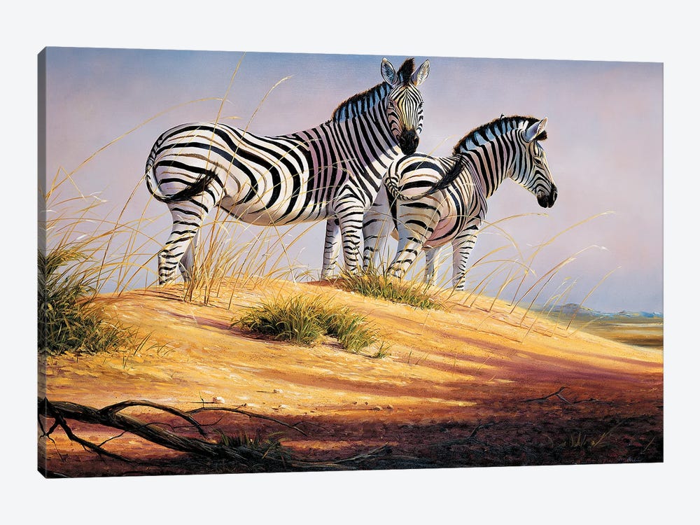 Zebras Of Namibia by Grant Hacking 1-piece Canvas Art