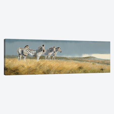 Zululand Zebras Canvas Print #GHC122} by Grant Hacking Canvas Print