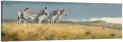 Zululand Zebras Canvas Art Print - Zebra Art