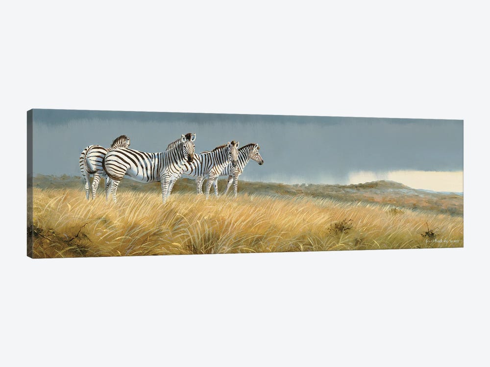 Zululand Zebras by Grant Hacking 1-piece Art Print