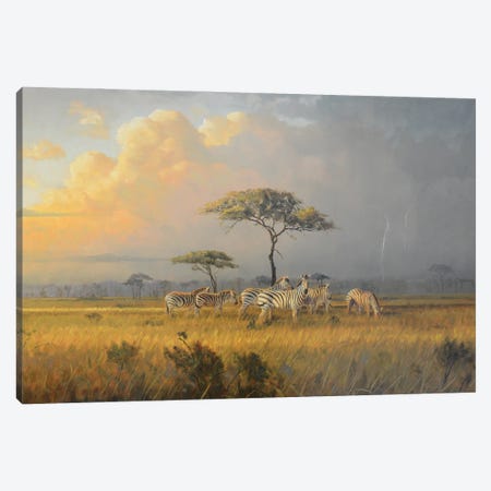 Approaching Storm Canvas Print #GHC12} by Grant Hacking Canvas Artwork