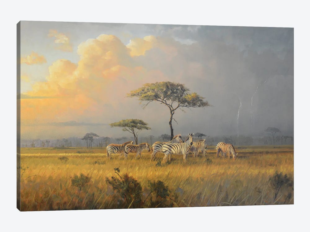 Approaching Storm by Grant Hacking 1-piece Canvas Art Print