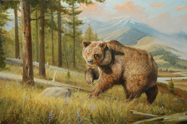 Grizzly Bears: Big Paw by Grant Hacking