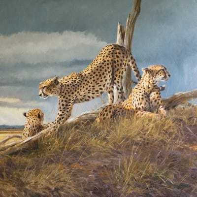 Breaking Sun by Grant Hacking framed canvas print