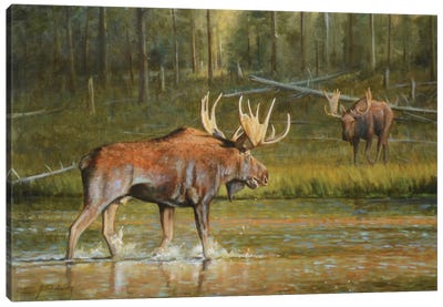 Broken Silence Canvas Art Print - Moose Art
