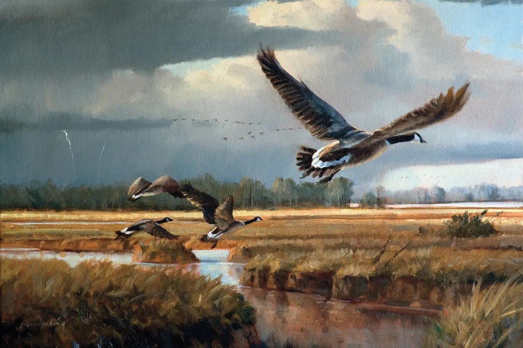 Changing Weather Canada Geese by Grant Hacking wall art