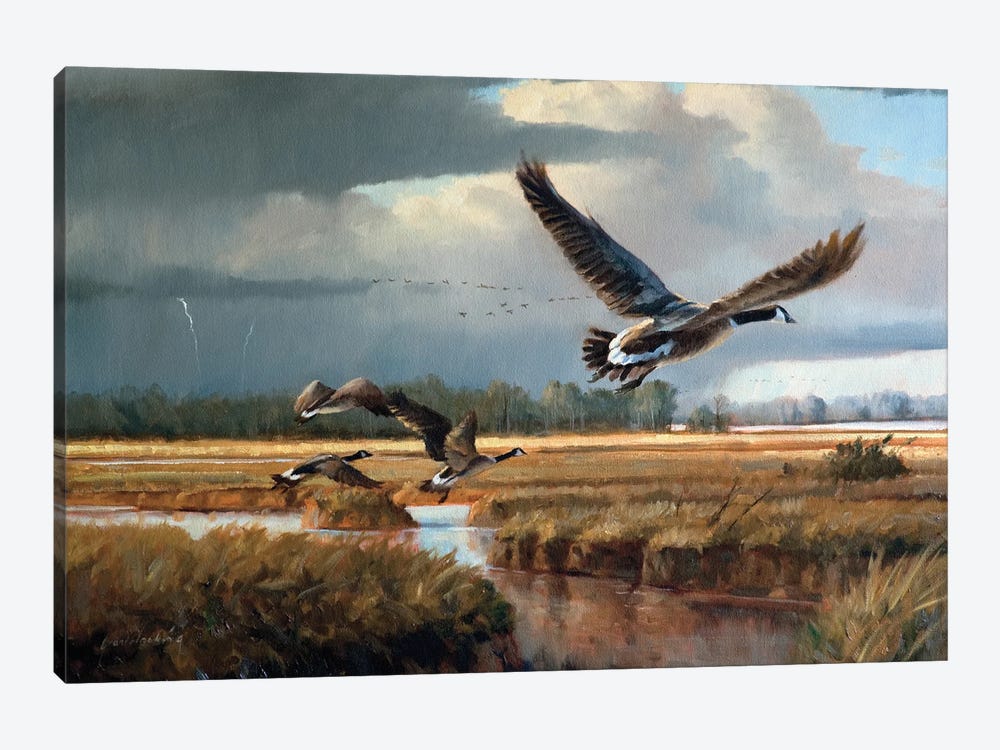 Changing Weather Canada Geese by Grant Hacking 1-piece Art Print