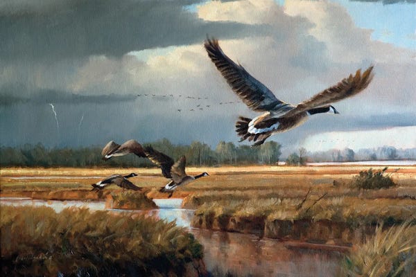 Lightning: Changing Weather Canada Geese by Grant Hacking