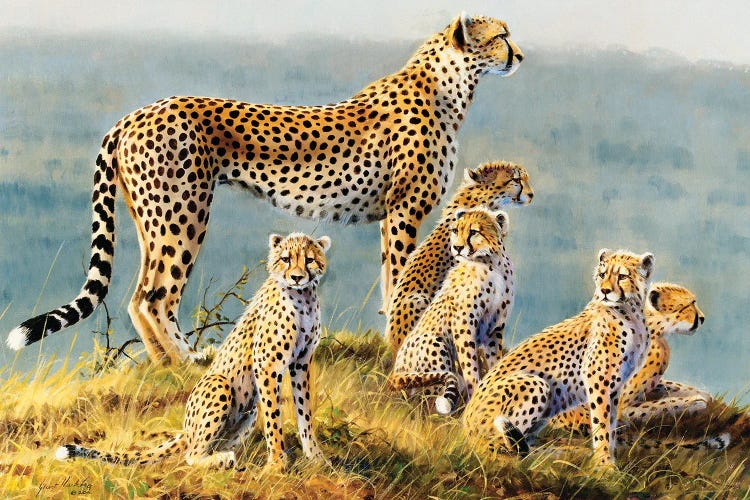 Cheetah by Grant Hacking wall art