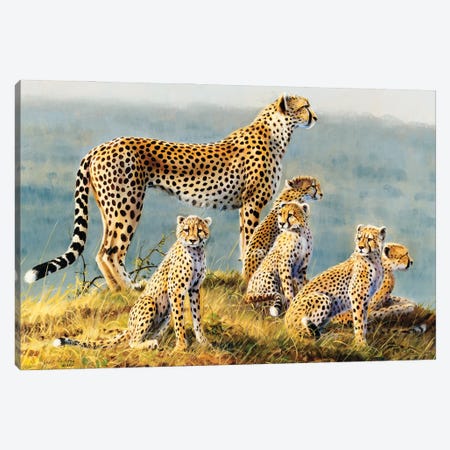 Cheetah Canvas Print #GHC24} by Grant Hacking Canvas Wall Art