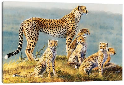 Cheetah Canvas Art Print - Baby Animal Art