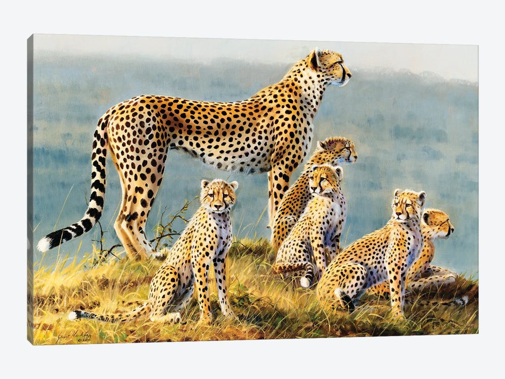 Cheetah by Grant Hacking 1-piece Canvas Artwork