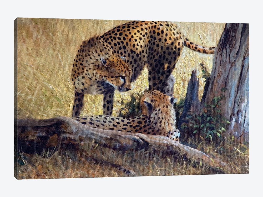 Cheetah Tree by Grant Hacking 1-piece Canvas Art