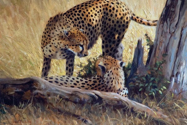 Grant Hacking: Cheetah Tree by Grant Hacking