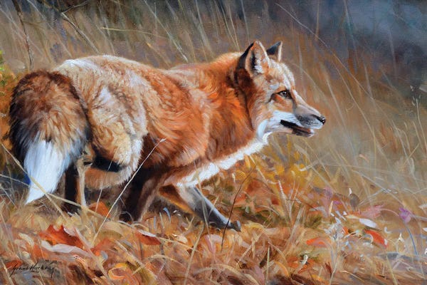 Grant Hacking: Colors Of Fall by Grant Hacking
