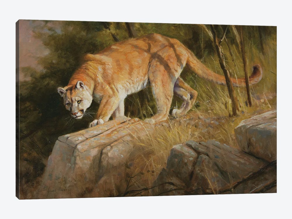 Cougar by Grant Hacking 1-piece Art Print