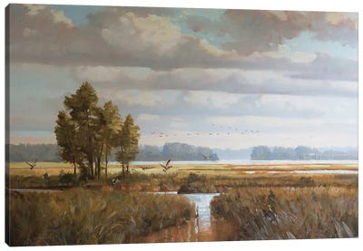 A Brief Stop Canvas Art Print - Marsh & Swamp Art
