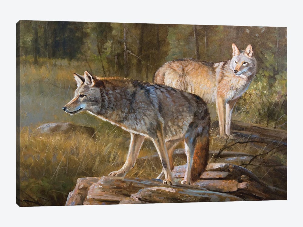 Coyotes by Grant Hacking 1-piece Art Print