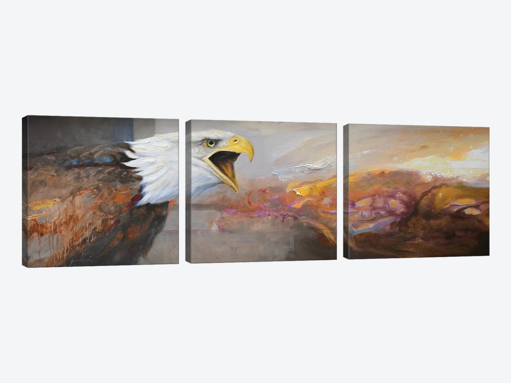Eagle by Grant Hacking 3-piece Canvas Art