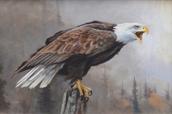 Grant Hacking: Echoes by Grant Hacking