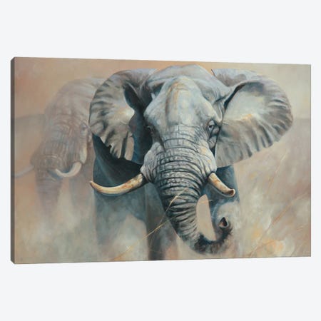 Elephant Canvas Print #GHC36} by Grant Hacking Canvas Art Print