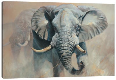 Elephant Canvas Art Print - Grant Hacking
