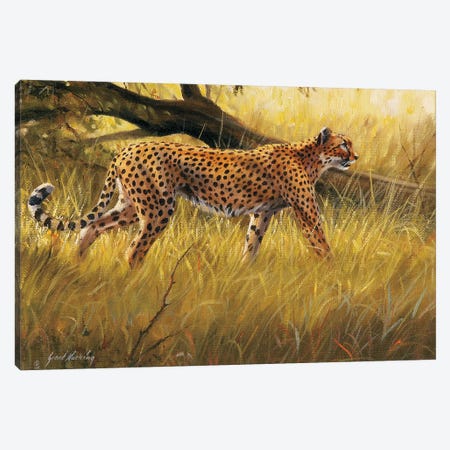Fallen Tree Prowling Cheetah Canvas Print #GHC38} by Grant Hacking Canvas Wall Art