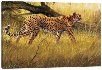 Fallen Tree Prowling Cheetah Canvas Art Print - Grant Hacking