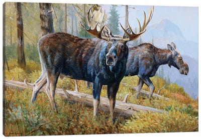 Forests Edge Canvas Art Print - Moose Art