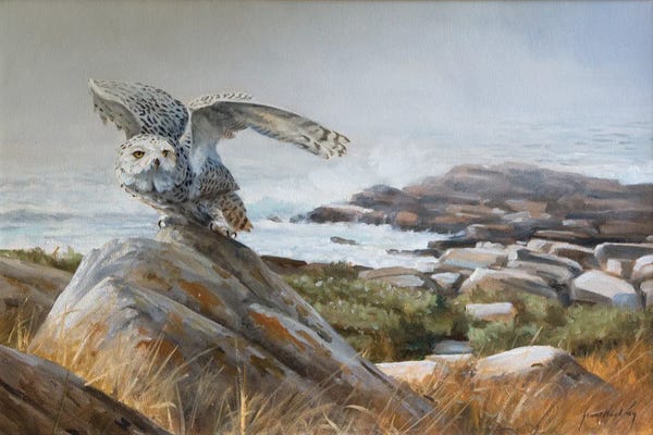 Grant Hacking: From The Mist by Grant Hacking