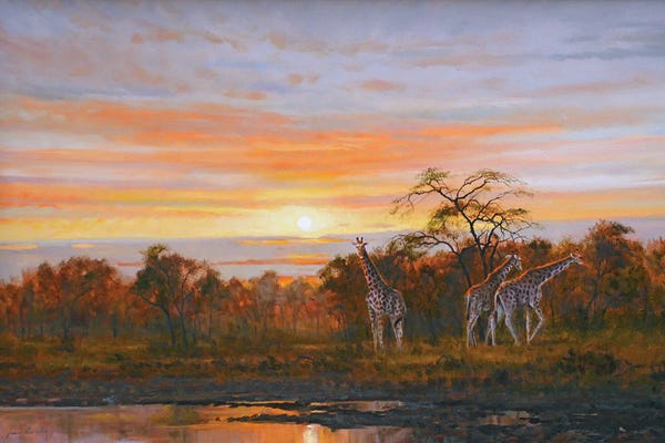 Grant Hacking: Giraffes by Grant Hacking