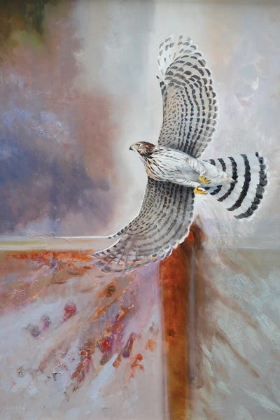 Grant Hacking: Hawk by Grant Hacking