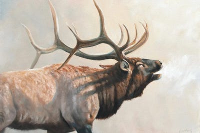 Into The Sun by Grant Hacking framed canvas print