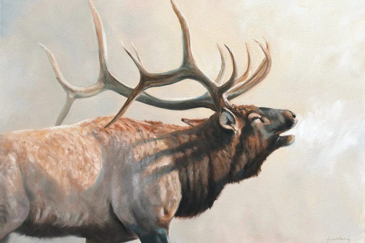 Into The Sun by Grant Hacking wall art
