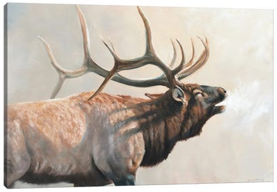 Into The Sun Canvas Art Print - Elk Art