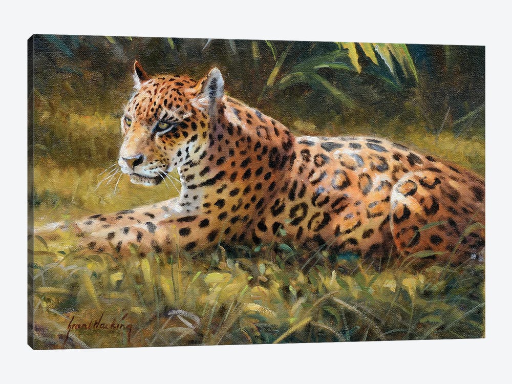 Jaguar by Grant Hacking 1-piece Canvas Wall Art