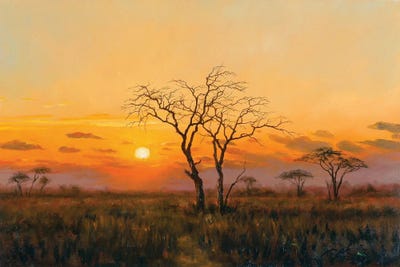 Journey's End by Grant Hacking framed canvas print