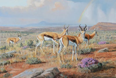 Karoo Blossoms by Grant Hacking framed wall art