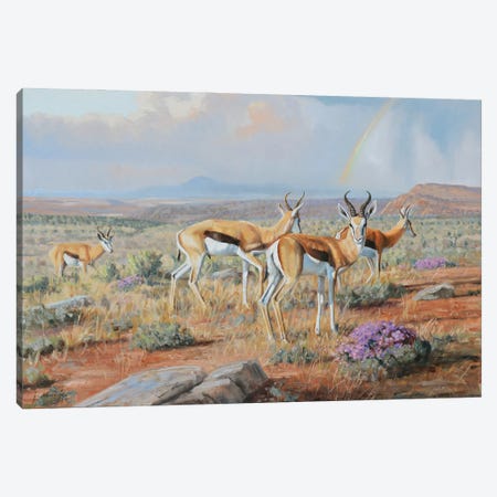 Karoo Blossoms Canvas Print #GHC53} by Grant Hacking Canvas Wall Art