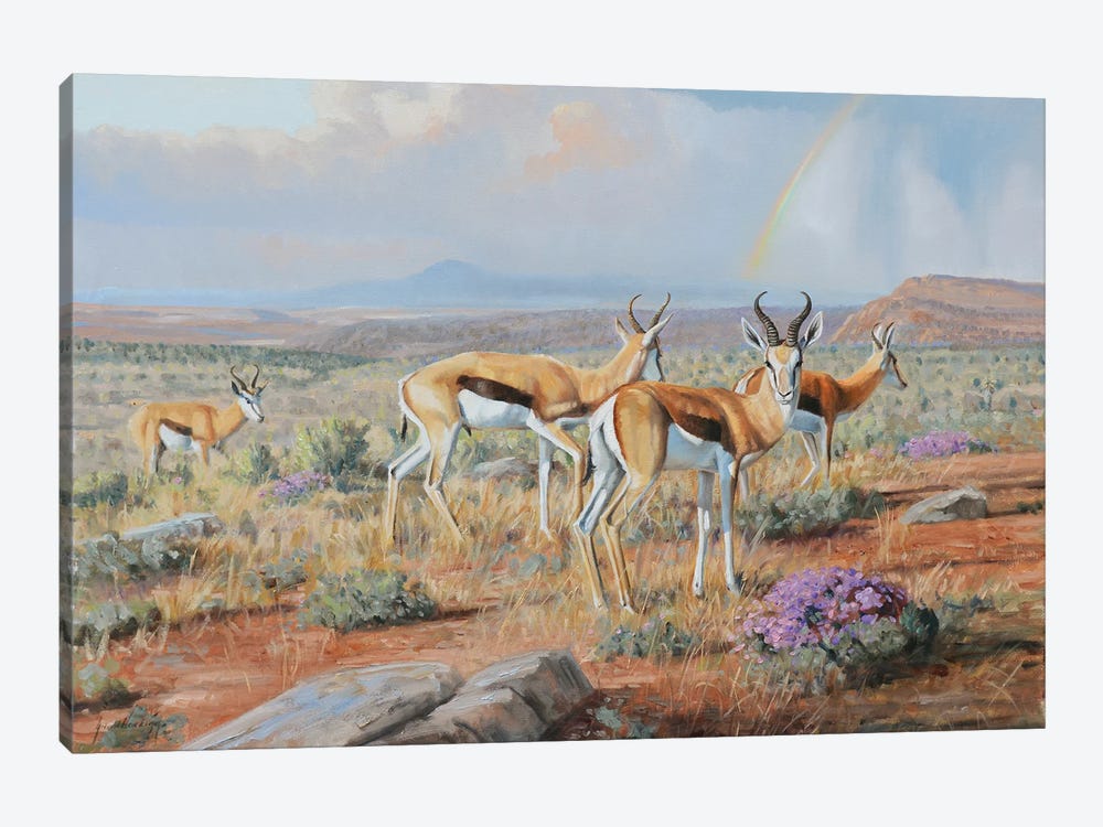 Karoo Blossoms by Grant Hacking 1-piece Canvas Wall Art