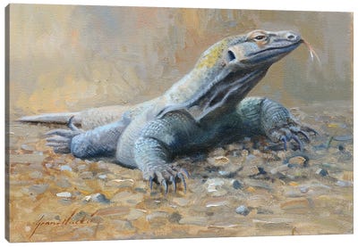 Komodo Dragon Canvas Art Print - Lizard Art