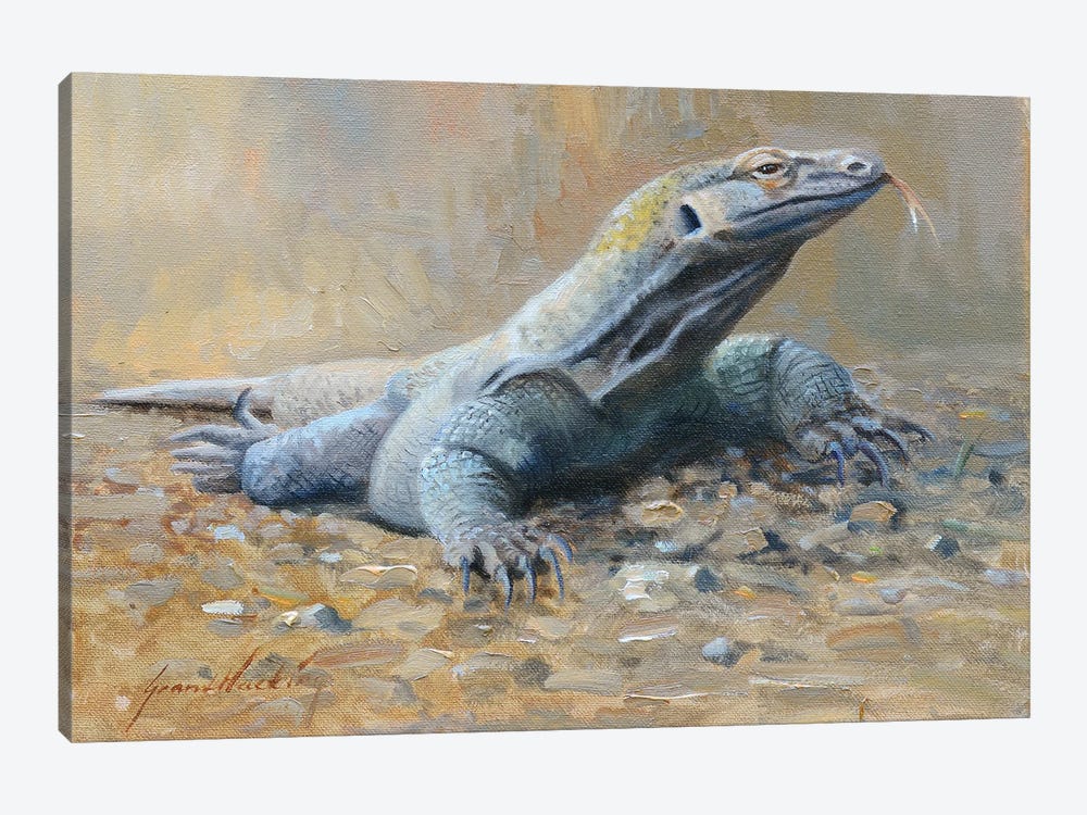Komodo Dragon by Grant Hacking 1-piece Canvas Print