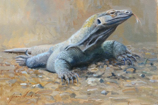 Grant Hacking: Komodo Dragon by Grant Hacking