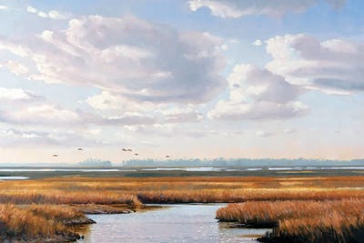 Landscape by Grant Hacking framed wall art