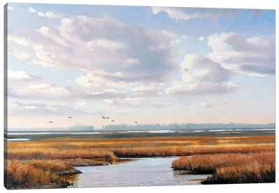 Landscape Canvas Art Print - Marsh & Swamp Art