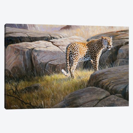 Leopard Canvas Print #GHC56} by Grant Hacking Art Print