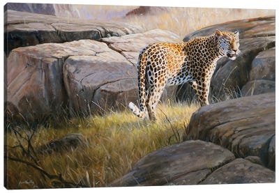 Leopard Canvas Art Print - Grant Hacking
